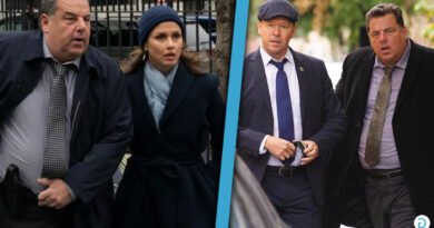 How Did Erin Die on Blue Bloods Season 14? What Really Happened in the Finale